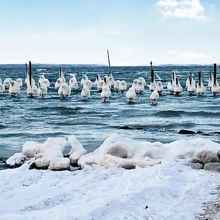 Semesterbostad Lovely In Haderslev With Kitchen *